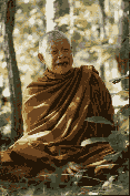 L-viriyoung10.gif (7404 bytes)