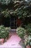 tam6.jpg (3035 bytes)