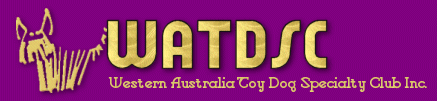 The Western Australia Toy Dog Specialist Clib Inc. Click here to be transported to our new site!