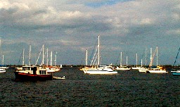 View of Boats from the pier next to Conky Joe's