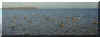 ray2.jpg (41288 bytes)