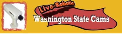 Washington State Cams