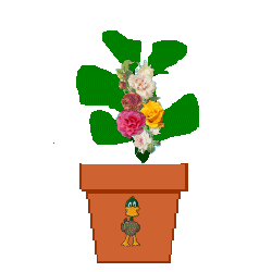The Site Fights Spirit Flowers- black duck