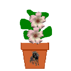 The Site Fights Spirit Flowers-blk unicorn