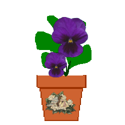 The Site Fights Spirit Flowers