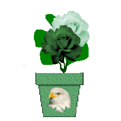eagle head