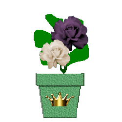 The Site Fights Spirit Flowers