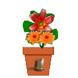 The Site Fights Spirit Flowers-goose