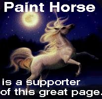 painted horse