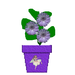 fairypurplepot