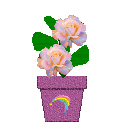 The Site Fights Spirit Flowers-rainbow