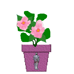 knight
