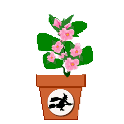 The Site Fights Spirit Flowers-witch on broom