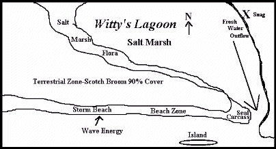 Overview