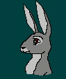 bluebell