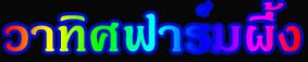 Թյ͹Ѻ  ҷȿ