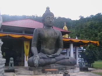 IMGA0962