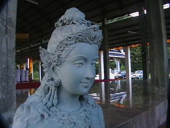 IMGA0985