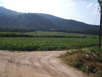 S2010014