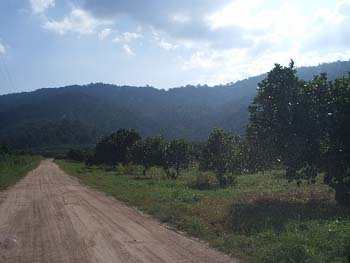 S2010017