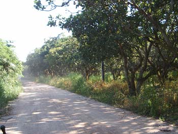 S2010018