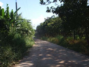S2010019