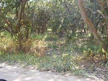 S2010020
