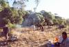 Mt Augustus 2001
