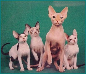 Group Shot
