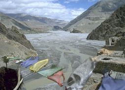 mIMG0039-mustang-flags.jpg (12574 Byte)