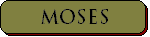 This page is a dedication to my cat Moses who was killed by a drunk driver.