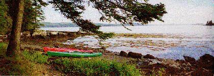 Two kayaks