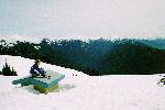 Hurricane Ridge 1