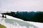 Hurricane Ridge 2