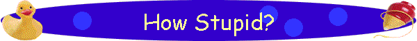 How Stupid?