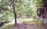 060620s.jpg