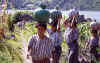atitlan07.jpg (91751 bytes)