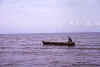 livingston02.jpg (38821 bytes)