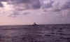 livingston03.jpg (57797 bytes)