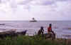 livingston11.jpg (57952 bytes)