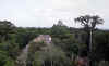 tikal01.jpg (83293 bytes)
