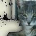 Thumbnail #6