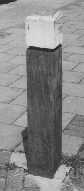 Get Wood
