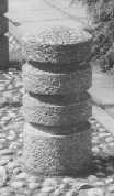 The three-grooved midget