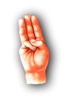 traditional GS sign of 3 fingers