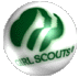 GS button