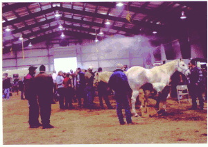 Shoeing contest