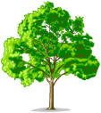 Click here to visit the Weiler-Ebersole family history.