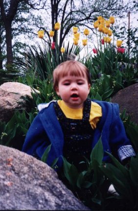 Tiptoeing through the Tulips