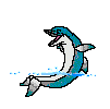 dolphin